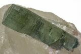 Green Verdelite Tourmaline in Quartz - Brazil #217526-1